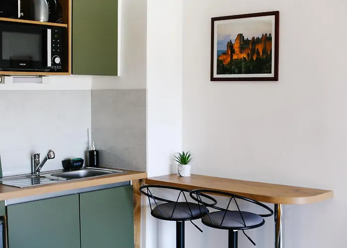 Studio Avec Parking Vue Sur La Cite De Carcassonne